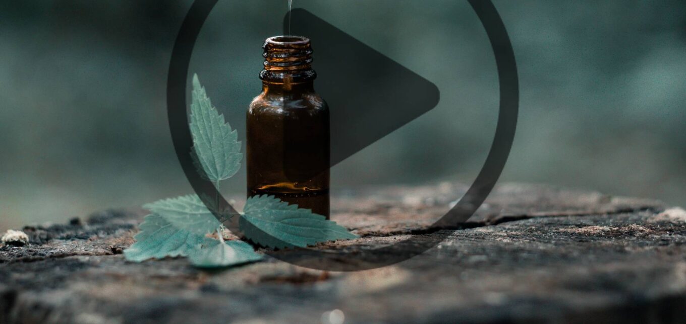 What Are Hydrosols? – Mother Earth News - Vimarsana News